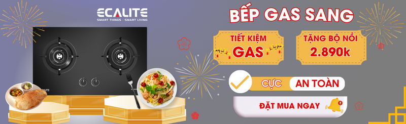 Bếp gas âm Ecalite