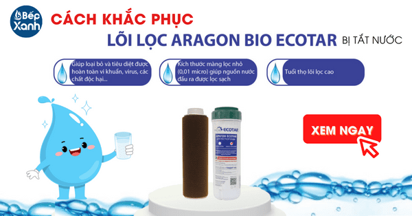 Cách khắc phụ lõi lọc Aragon bị tắc nước.