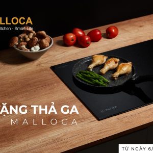 Khuyến mãi Malloca mới nhất – Tháng 10