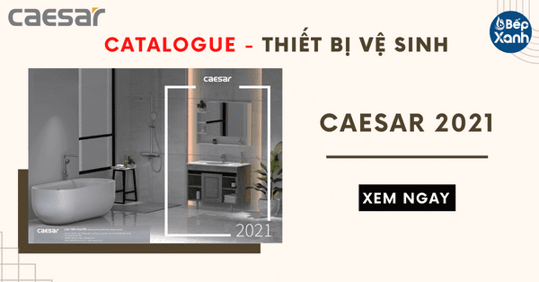 Dowload File Catalogue Thiết Bị Vệ Sinh Caesar 2021