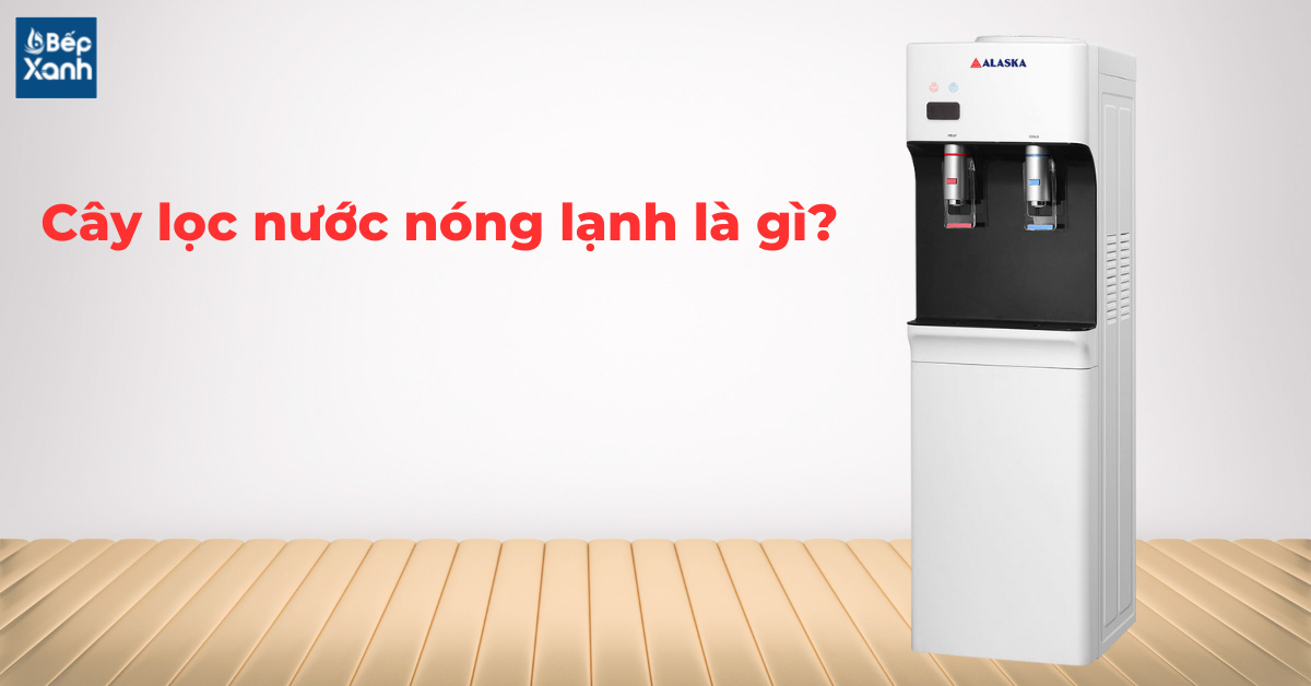 Cây nước nóng lạnh là gì?