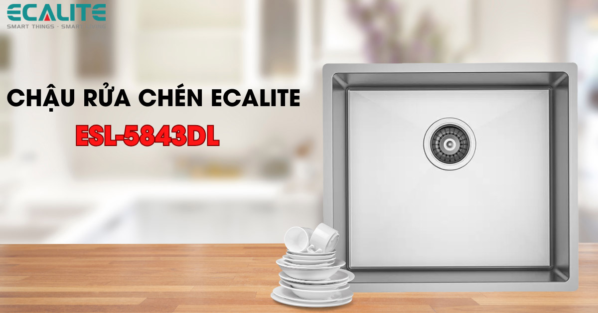 Chậu rửa chén Ecalite ESL-5843DL