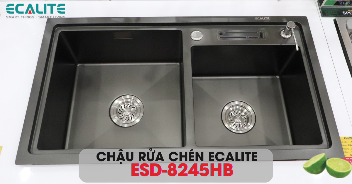 Chậu rửa chén Ecalite ESD-8245HB