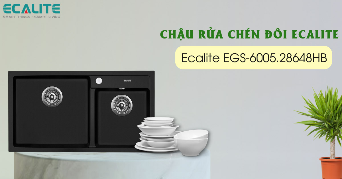 Chậu rửa chén Ecalite EGS-6005.28648HB