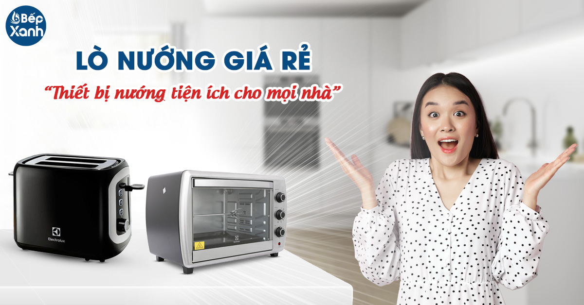 Lò nướng giá rẻ các loại