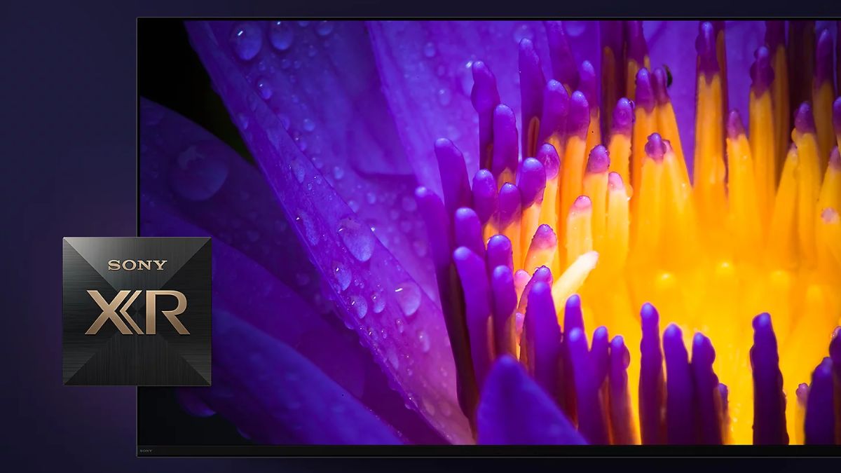 Bộ xử lý Tivi Sony OLED 4K 77 Inch XR-77A80L