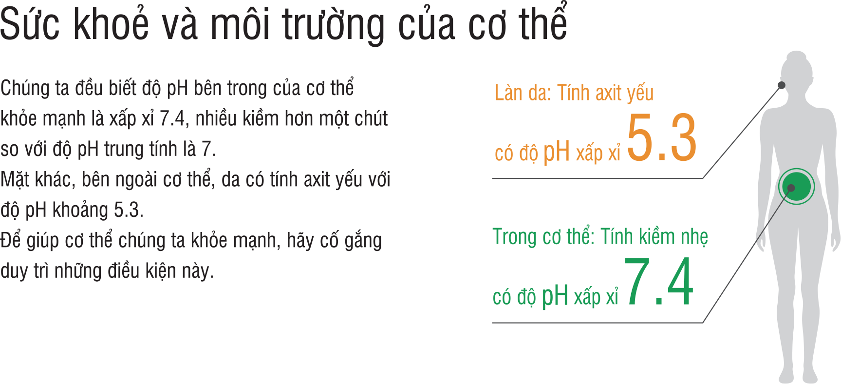 Mức PH cân bằng trong cơ thể con người