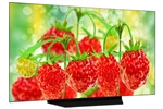 Smart Tivi OLED LG 4K 48 inch 48CXPTA