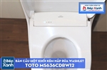 Bàn Cầu Một Khối ToTo MS636CDRW12