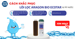 Cách khắc phụ lõi lọc Aragon bị tắc nước.