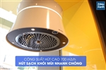 Máy hút mùi đảo Malloca Sophie K-500W