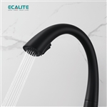 Vòi rửa chén nóng lạnh S-curve Ecalite EF-K114B