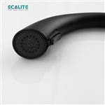 Vòi rửa chén nóng lạnh S-curve Ecalite EF-K114B