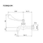 Vòi Nước Lạnh Gắn Tường TOTO T23BQ13N