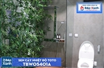 Sen Cây Nhiệt Độ ToTo TBW05401A