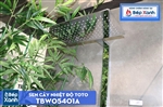 Sen Cây Nhiệt Độ ToTo TBW05401A