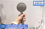 Sen Cây Nóng Lạnh ToTo TVSM104NSR/DM907CS