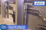 Vòi Chậu ToTo TLG11303V