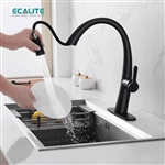 Vòi rửa chén nóng lạnh S-curve Ecalite EF-K114B