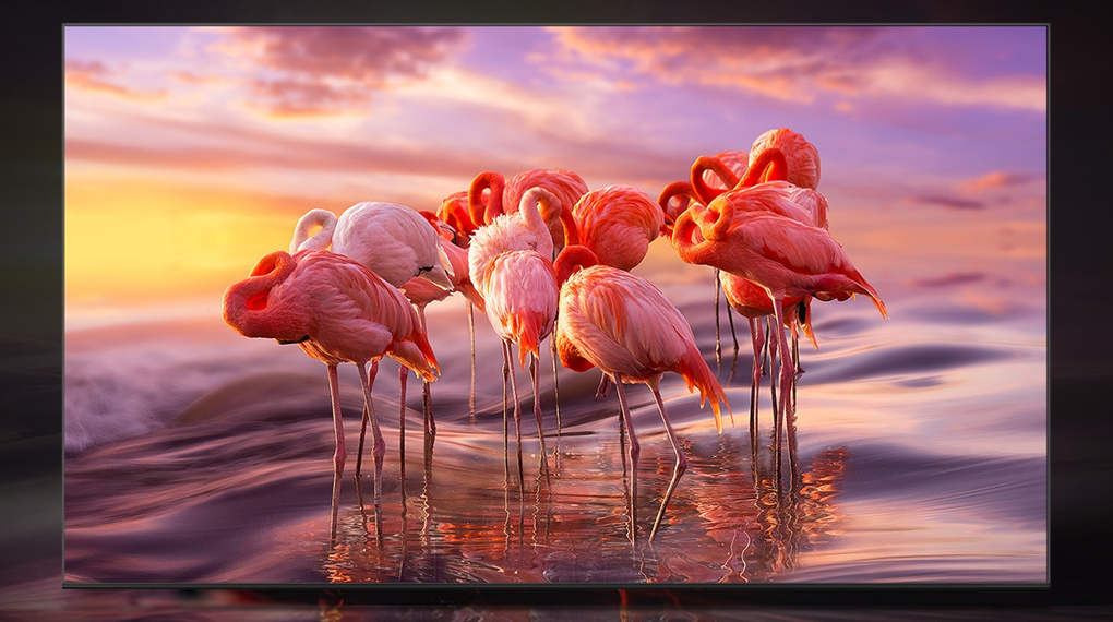 Smart Tivi QLED 4K 43 inch Samsung QA43Q60B - Quantum Dot Smart Tivi QLED 4K 43 inch Samsung QA43Q60B - Quantum Dot