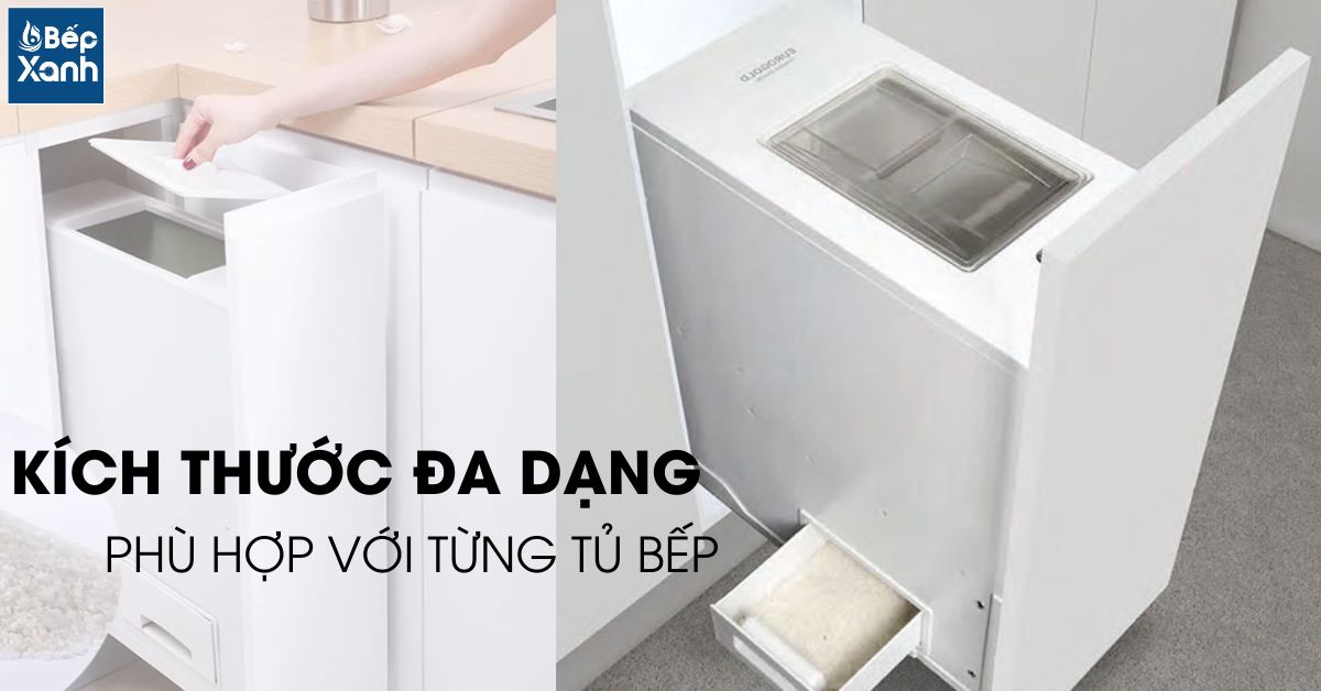 Nhiều kiểu dáng, kích thước đa dạng.