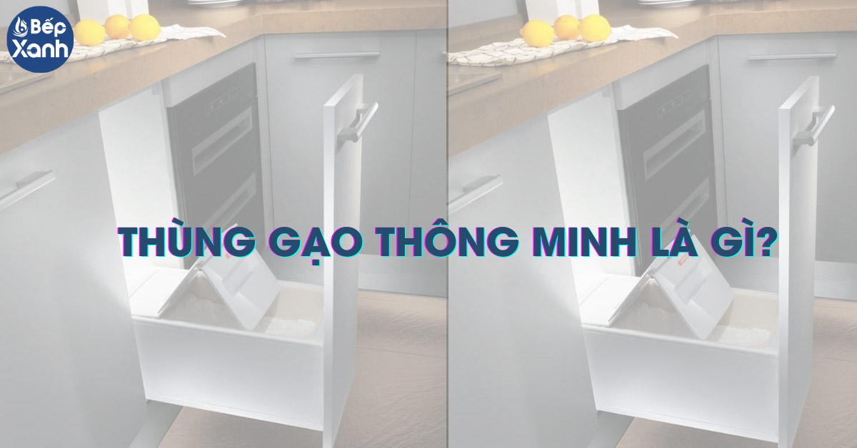 Thùng gạo thông minh Garis là gì?