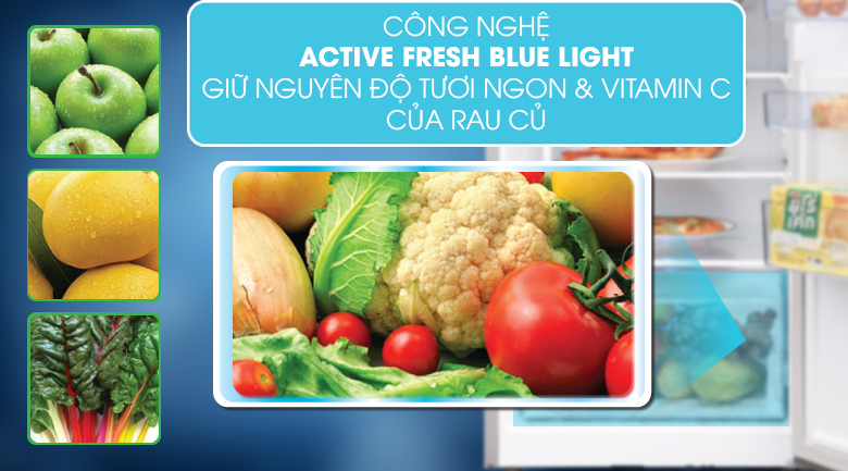 Active Fresh Blue Light - Tủ lạnh Beko Inverter 230 lít RDNT251I50VWB