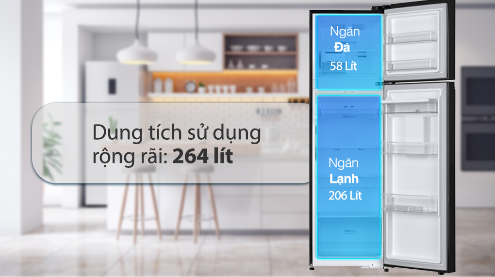 Tủ lạnh LG Inverter 264 Lít GV-D262BL - Ngăn lạnh và ngăn đá