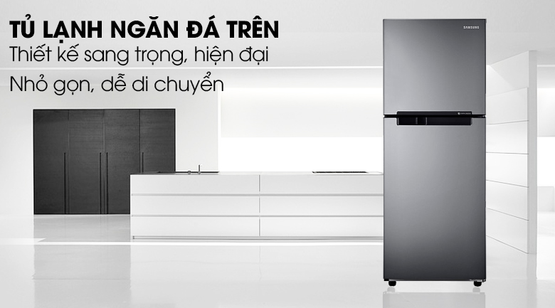 Tủ lạnh Samsung RT19M300BGS/SV