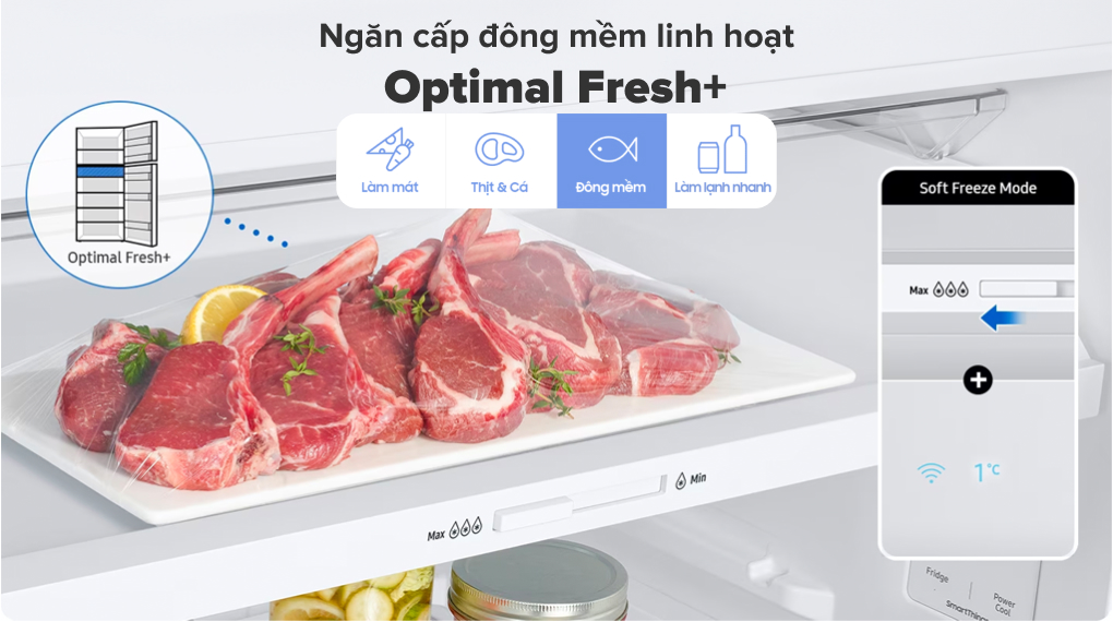 Tủ lạnh Samsung Inverter 406 lít RT42CG6584B1SV - Ngăn đông mềm linh hoạt Optimal Fresh+ Tủ lạnh Samsung Inverter 406 lít RT42CG6584B1SV - Ngăn đông mềm linh hoạt Optimal Fresh+